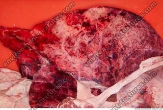 Photo Textures of RAW Pork Meat